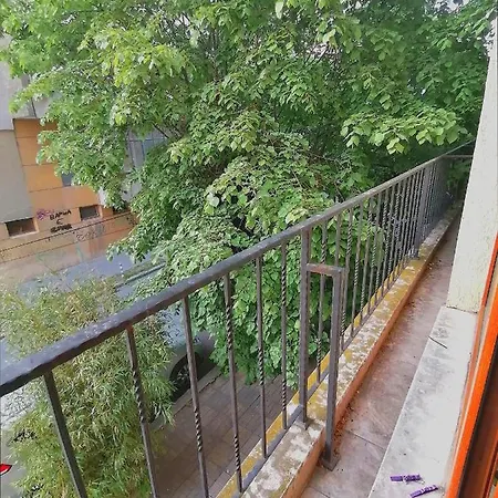 алекса * Varna